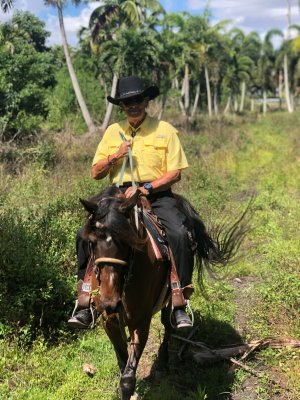 American Horse Trails | Davie, Florida | Horseback Riding & Dude Ranches