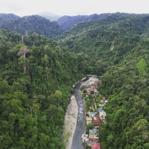 See the Orangutan and Jungle trekking | Medan, Indonesia | Hiking & Trekking