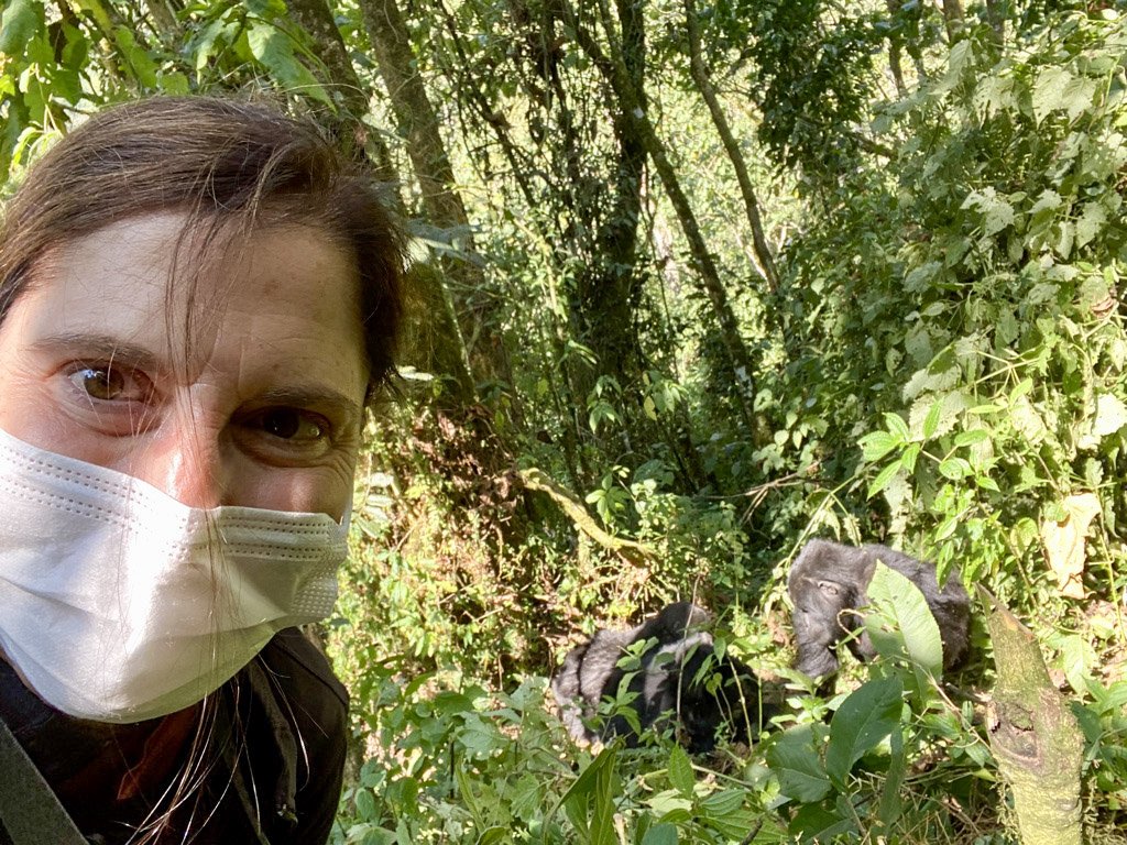 Mountain Gorilla Trekking In Bwindi Impenetrable Forest Nati | African Finfoot Safaris | Kampala, Uganda | Wildlife & Safari Tours | Image #1/9 | 