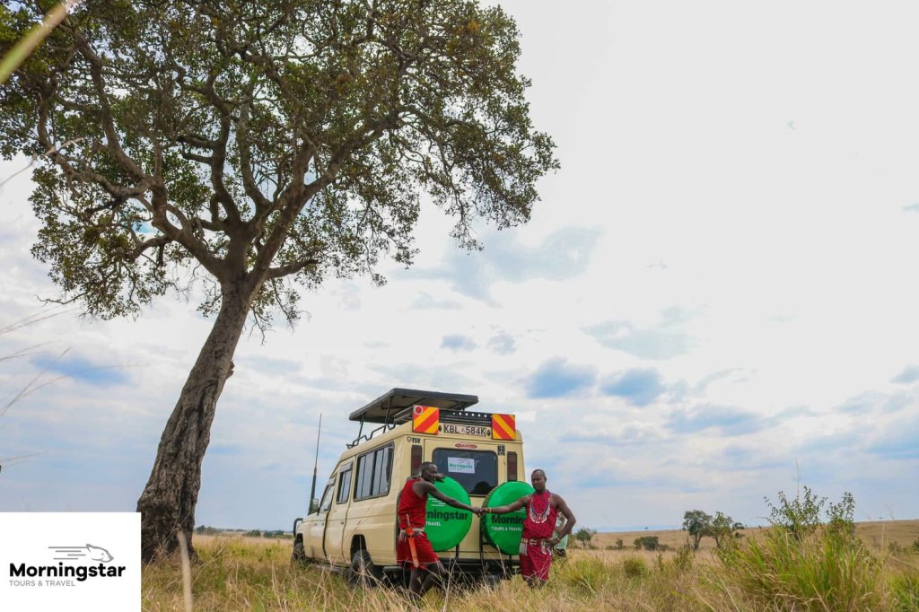 Masai Mara | 7-day Amboseli, Naivasha, Nakuru And Masai Mara | Image #3/5 | 