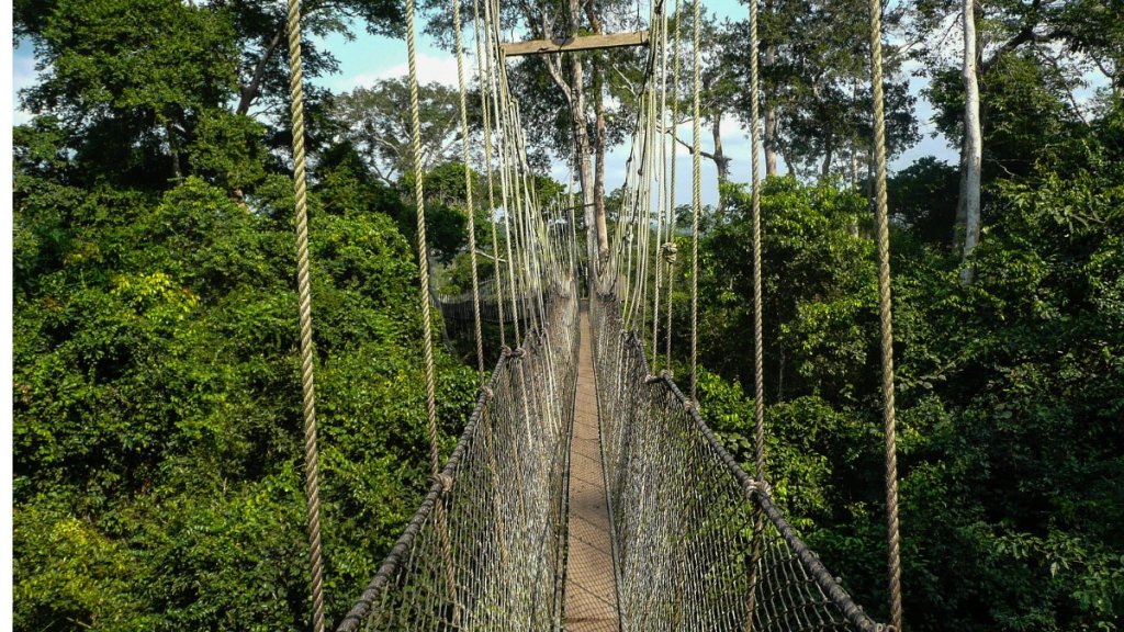 Canopy Walk | 10 Day Ghana Cultural And History Private Tour | Image #13/22 | 