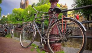 Bicycle  Rentals New Zealand | Nelson, New Zealand | Bike Tours