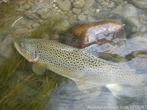 Foot & Chain | Calgary, Alberta Fishing Trips | Great Vacations & Exciting Destinations
