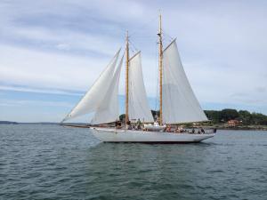 New Buffalo Sailing Excursions | New Buffalo, Michigan | Sailing