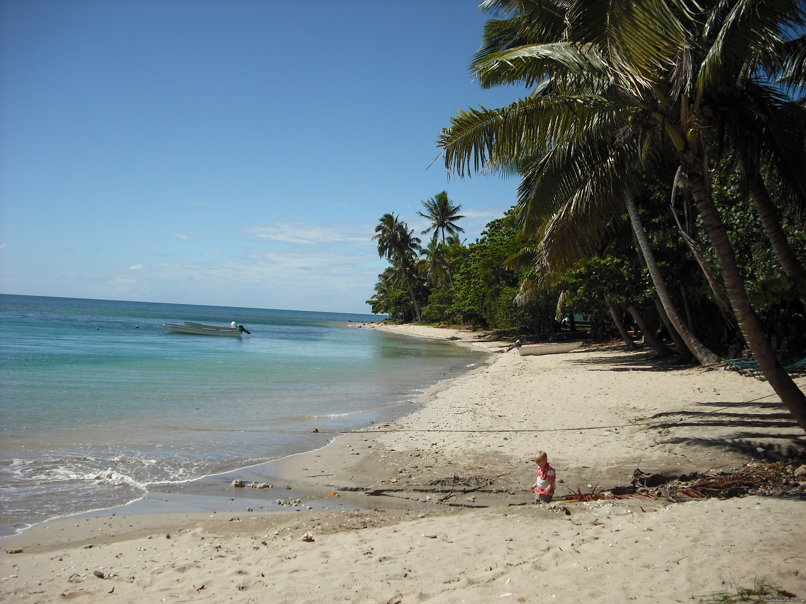 Dive Kadavu / Matana Beach Resort, Vunisea, Fiji Hotels & Resorts ...