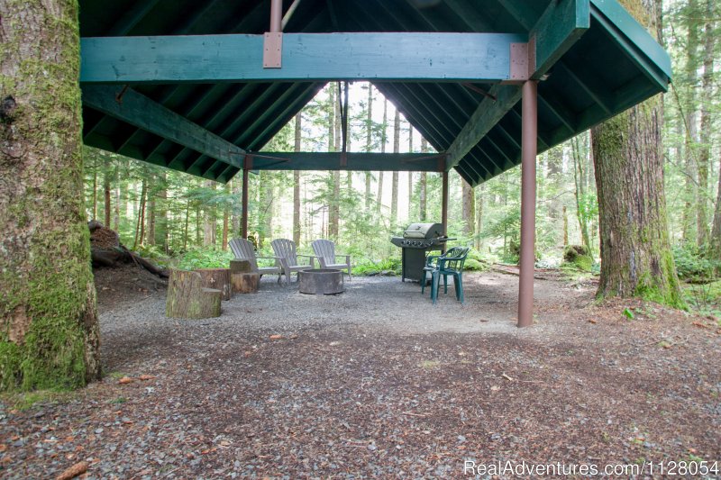 Luxury Cabins W/hot Tubs, Fire Pit - Mt. Rainier | Ashford, Washington ...