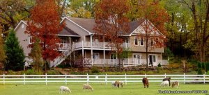 Country Estate for a Relaxing Getaway | Madison, WI, Wisconsin Bed & Breakfasts | Great Vacations & Exciting Destinations
