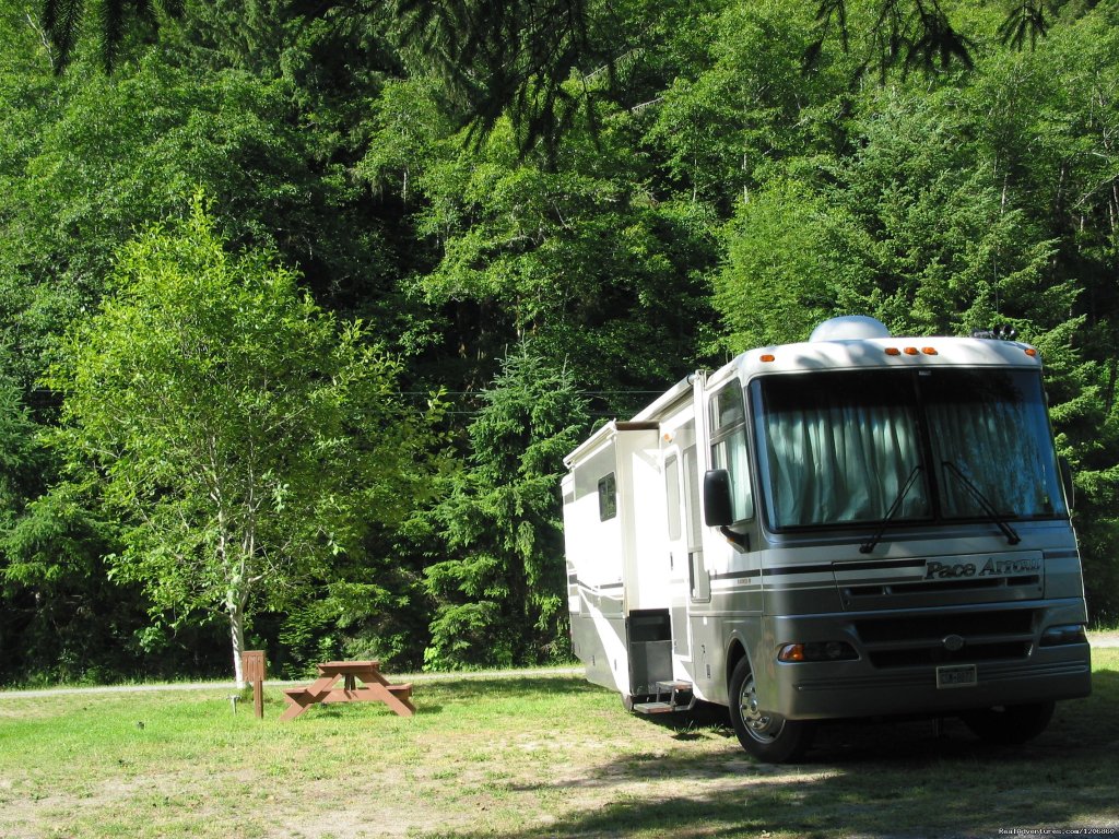 Redwoods at Kamp Klamath RV Park and Campground | Klamath, California ...