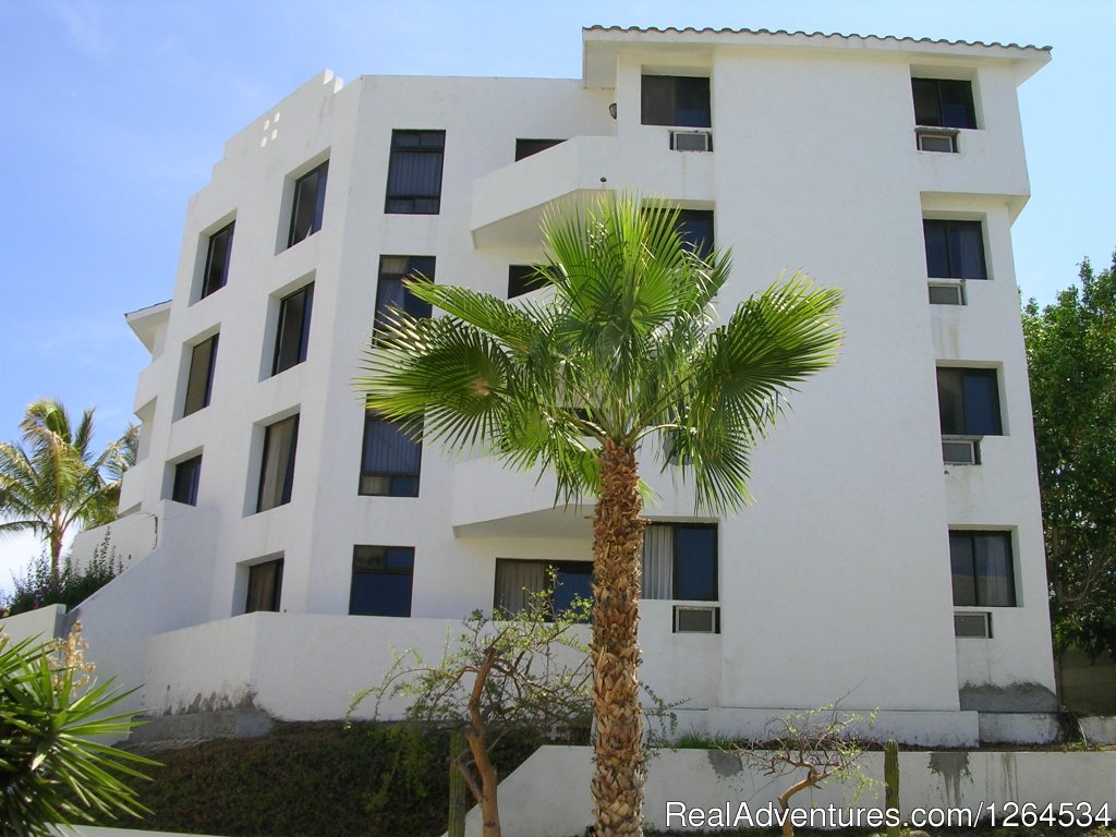 Hacienda Los Cabos 2 Bdrm Condo. Great Rates.clean | San Jose Del Cabo,  Mexico Vacation Rentals