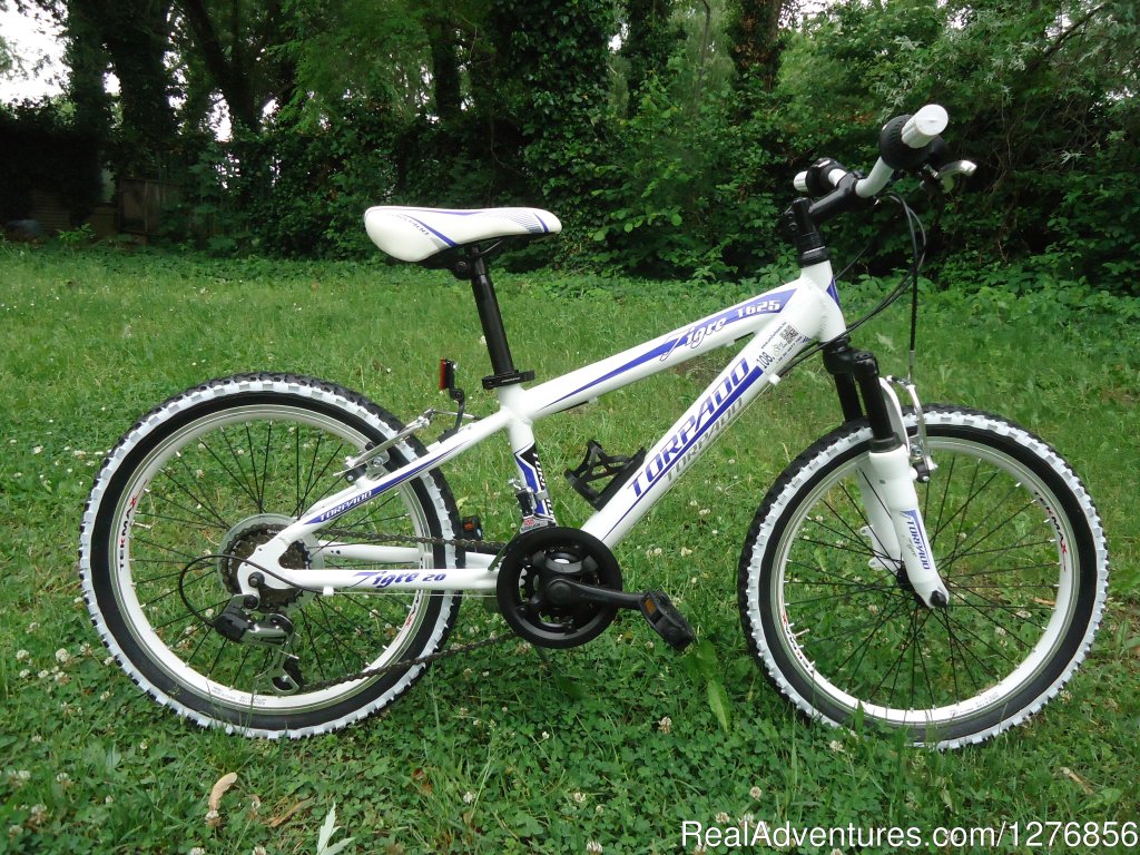 Bike rental at the lake Balaton | Balaton, Hungary Bicycle Rentals