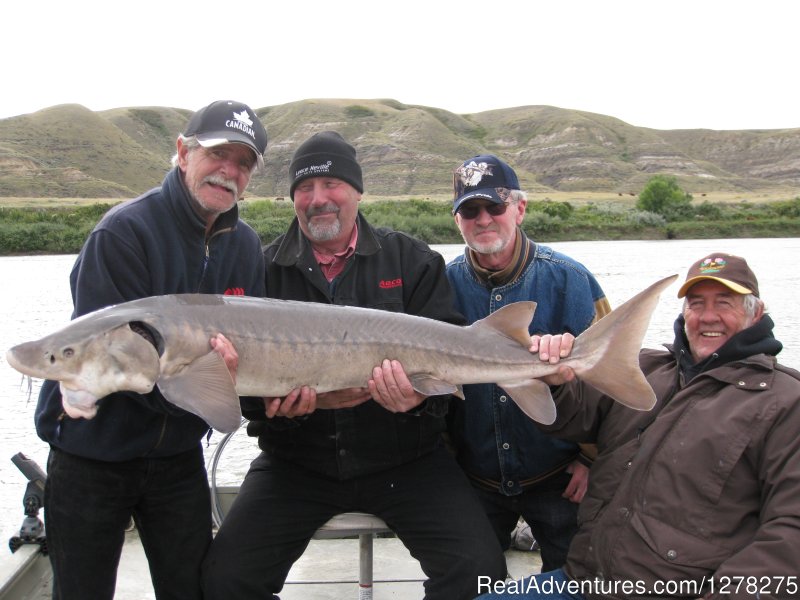 Alberta Sturgeon Fishing Trips... | Medicine Hat, Alberta Fishing Trips
