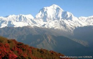 Sunrise Adventure Trek | Kathmandu Nepal, Nepal Sight-Seeing Tours | Great Vacations & Exciting Destinations