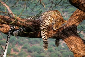 Exclusive Wilderness Escape: 3-day Private Masai M